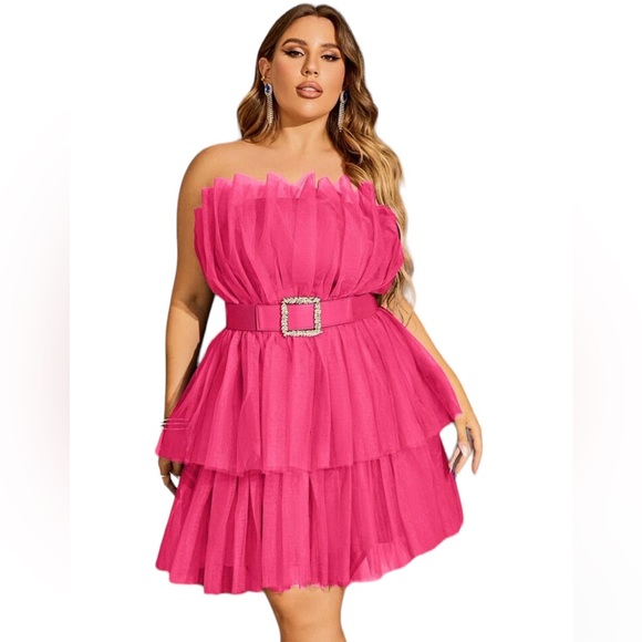 Hot Pink Ruffle Hem Belted Mesh Tube Dress - Picture 3 of 4